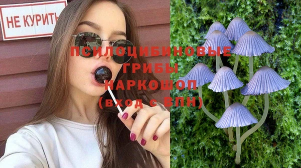 Альфа ПВП Аркадак