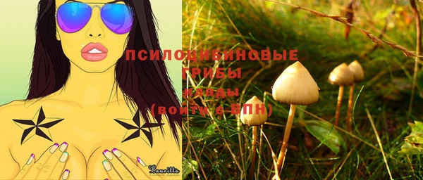 таблы Арсеньев
