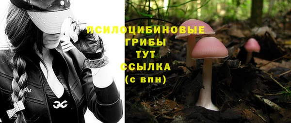 таблы Арсеньев