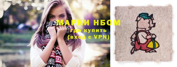 сатива Сосновка