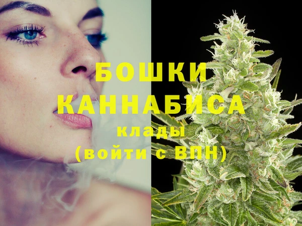 Альфа ПВП Аркадак