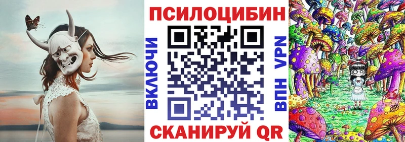 Псилоцибиновые грибы Cubensis  купить  цена  Пермь 