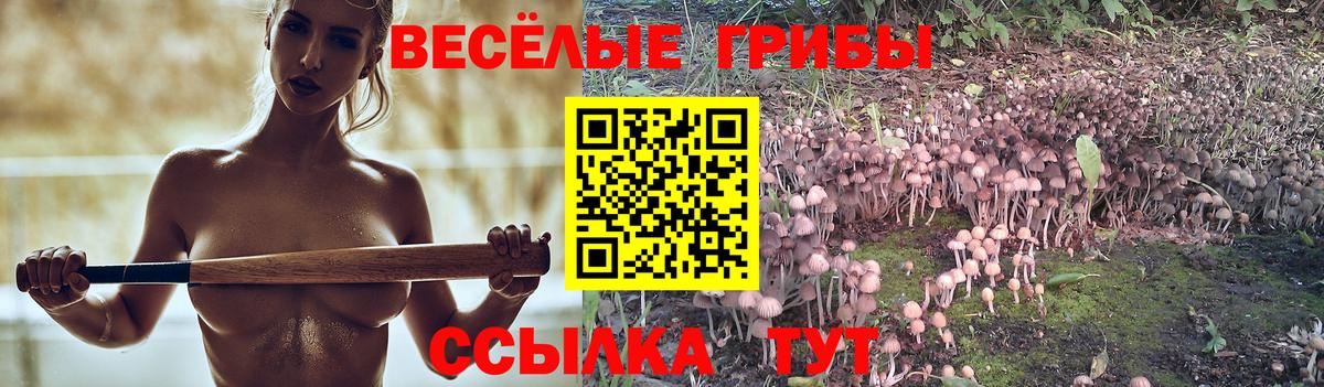 Псилоцибиновые грибы мухоморы Пермь